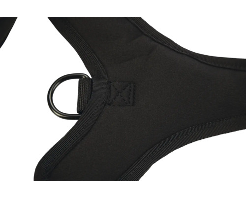 Vue détaillée d'un harnais pour chien noir avec anneau