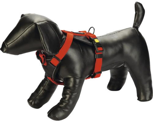 Harnais pour chien, rouge, sur mannequin teckel noir
