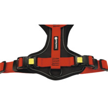 Harnais pour chien en nylon avec boucles par exemple