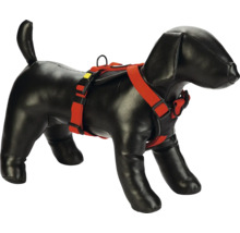 Harnais pour chien avec sangle rouge