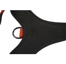 Vue détaillée d'un harnais d'escalade avec anneau en D