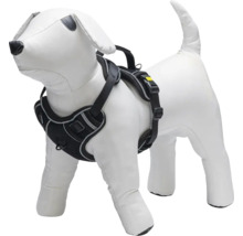 Harnais noir pour chien sur un mannequin de chien.