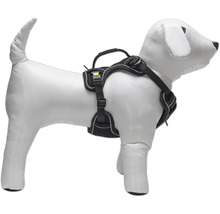 Harnais pour chien sur un mannequin de chien