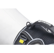 Vue détaillée d'un harnais pour chien avec anneau en D