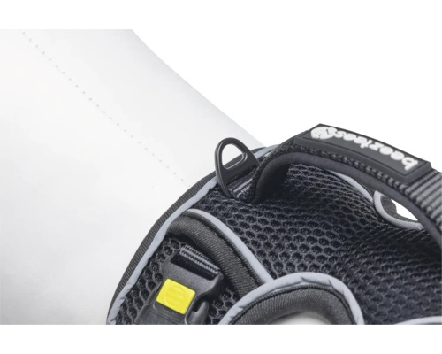 Vue détaillée d'un harnais pour chien avec anneau en D