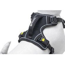 Logo Beetztees sur un harnais noir pour chien avec sangles réglables