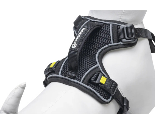 Logo Beetztees sur un harnais noir pour chien avec sangles réglables