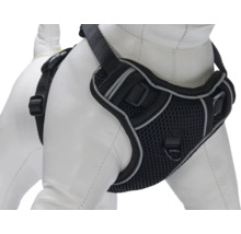 Harnais pour chien avec sangles réglables et insert en maille