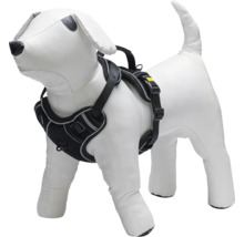 Harnais pour chien sur modèle de chien