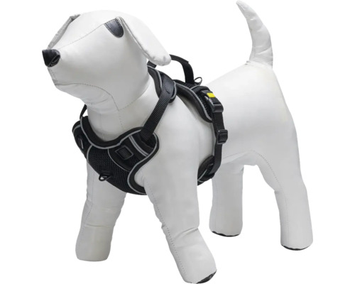 Harnais pour chien sur modèle de chien