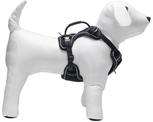 Harnais pour chien sur mannequin pour chien