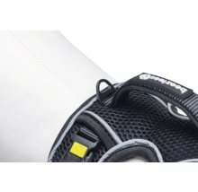 Vue détaillée d'un harnais pour chien avec anneau de fixation