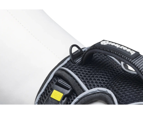 Vue détaillée d'un harnais pour chien avec anneau de fixation