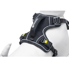 Harnais noir pour chien avec doublure en maille et sangles réglables