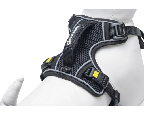 Harnais noir pour chien avec doublure en maille et sangles réglables