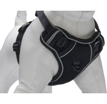 Harnais pour chien en maille avec sangles réglables