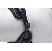 Vue détaillée d'un harnais pour chien noir avec sangle et boucle