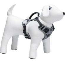 Harnais pour chien sur un mannequin de chien