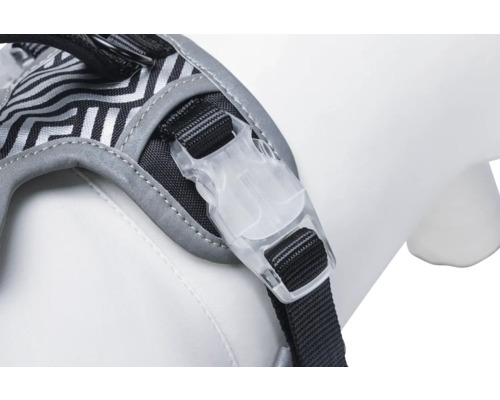 Gros plan d'un harnais pour chien avec une fermeture en plastique transparent.