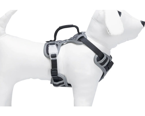 Harnais pour chien avec poignée