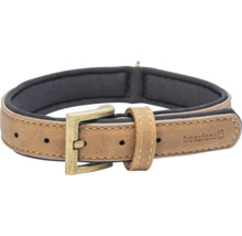 Hundehalsband mit Schnalle und weicher Polsterung