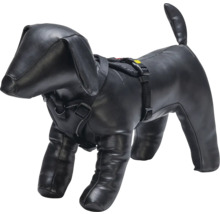 Mannequin en forme de chien avec harnais