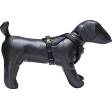 Harnais pour chien sur mannequin de chien