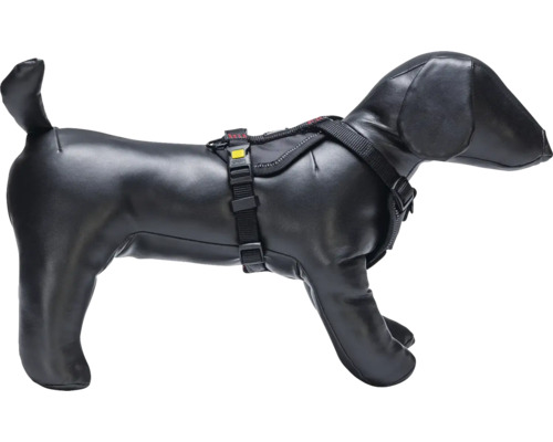 Harnais pour chien sur mannequin de chien