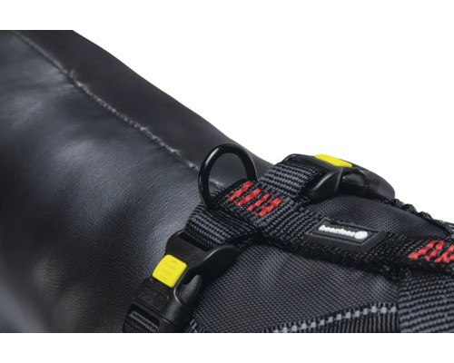 Vue détaillée d'un harnais pour chien avec anneau et boucle