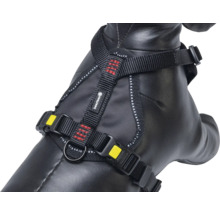 Harnais pour chien avec sangles et boucles réglables