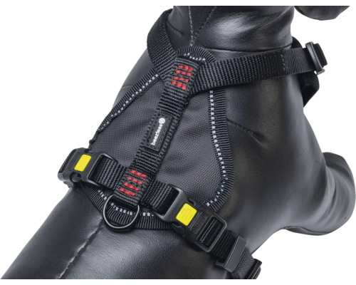 Harnais pour chien avec sangles et boucles réglables