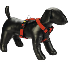 Poupée de chien avec harnais