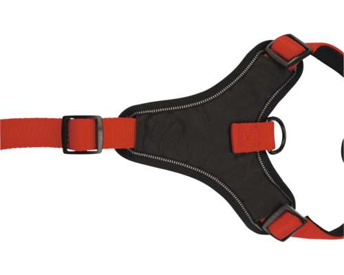 Harnais noir pour chien avec sangle rouge et boucle en métal
