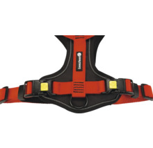 Harnais pour chien Beetztees