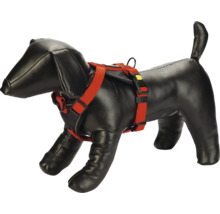 Harnais pour chien sur un mannequin teckel