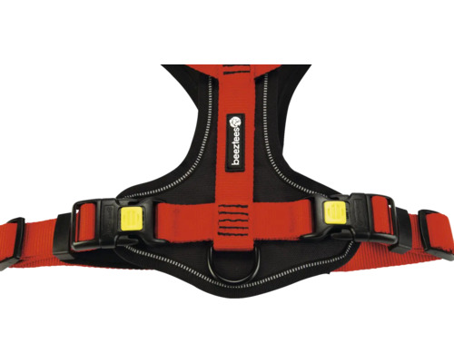 Harnais pour chien avec le logo Beenztees