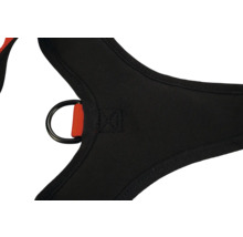 Gros plan d'un harnais d'escalade noir avec anneau en D