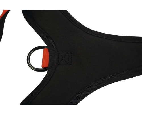 Gros plan d'un harnais d'escalade noir avec anneau en D