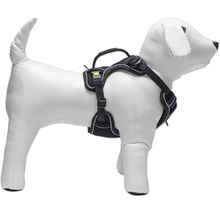 Hundegeschirr am Dummy