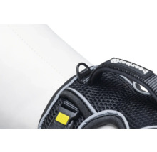 Detailansicht eines Hundegeschirrs mit Ring zur Leinenbefestigung und einem Verschluss