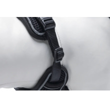 Nahaufnahme eines Hundegeschirrs mit verstellbaren Gurten