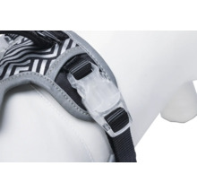 Nahaufnahme eines Hundegeschirrs mit Schnalle