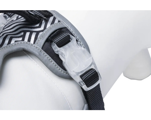 Nahaufnahme eines Hundegeschirrs mit Schnalle