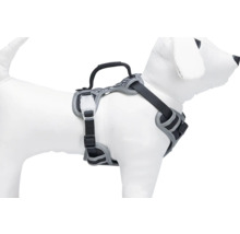 Hundegeschirr mit Griff am Rücken