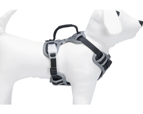 Hundegeschirr mit Griff am Rücken