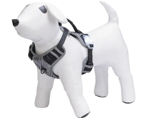 Hundegeschirr mit reflektierenden Streifen und LED-Licht