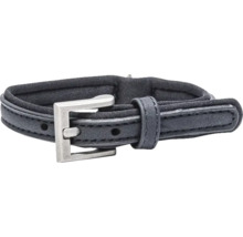 Collier pour chien avec boucle en métal