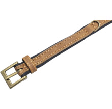 Collier pour chien en cuir avec boucle métallique