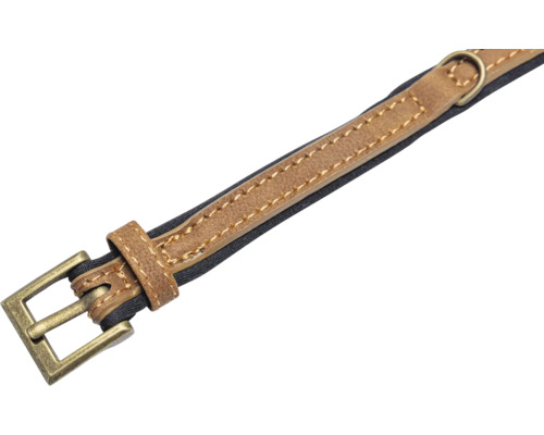 Collier pour chien en cuir avec boucle métallique