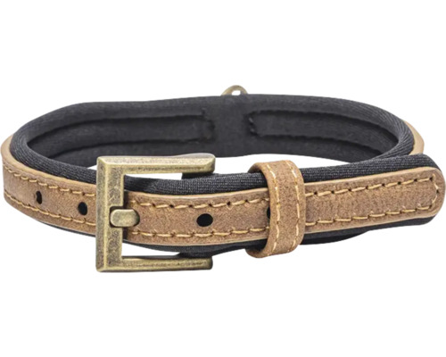 Collier pour chien en cuir avec boucle